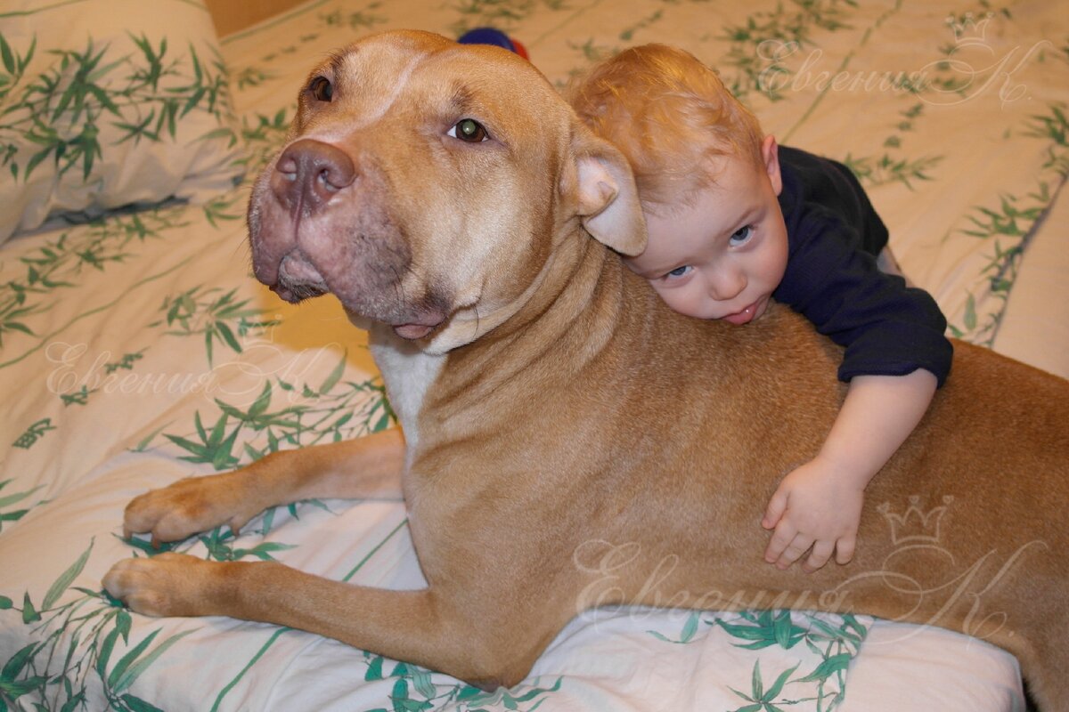 Фото автора.