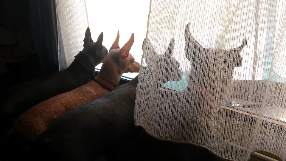 Фото из архива автора 