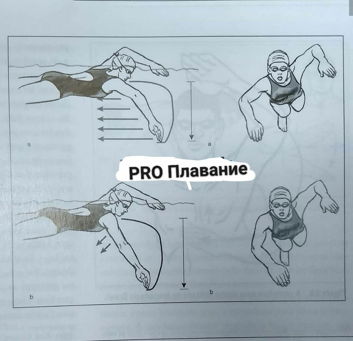 Все просто и ясно