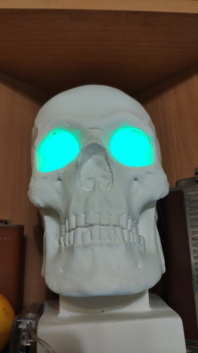 Фото, конечно, для кликбейта))) Это единственный свидетель процесса.