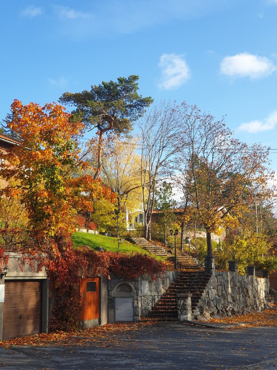 Вот такая красота может ожидать вас на улицах Стокгольма осенью:)