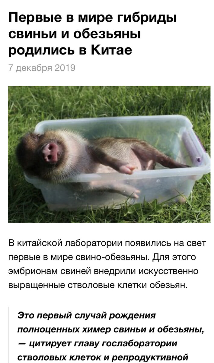 Яндекс  новости 