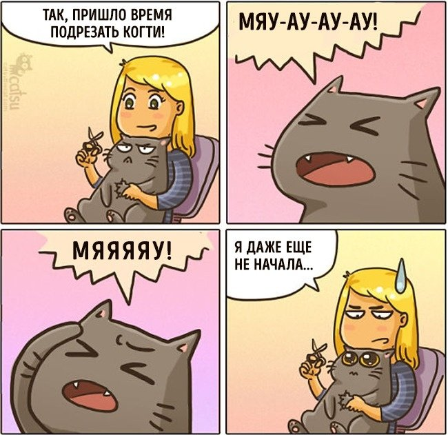 Фото взято из открытых источников.