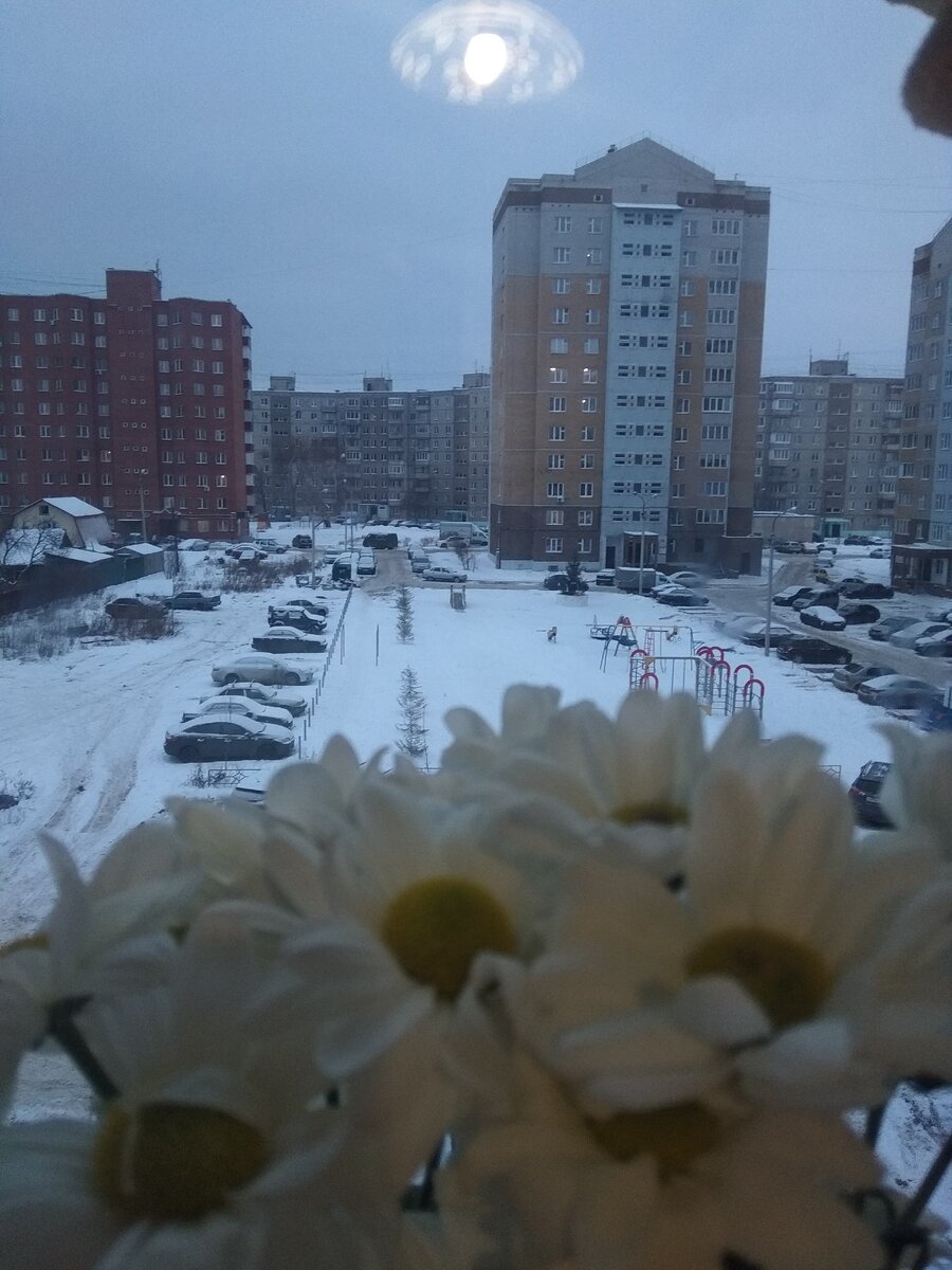 А это - мой вид из окна) не очень вдохновляющий, но это моя реальность.. реальность, которую я стараюсь совершенствовать каждый день...