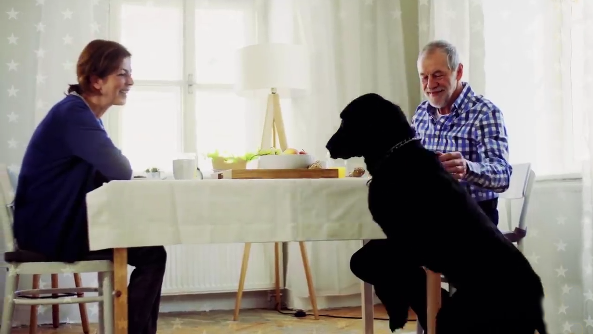 Внимание: Все материалы были взяты из интервью этих личностей в интренете