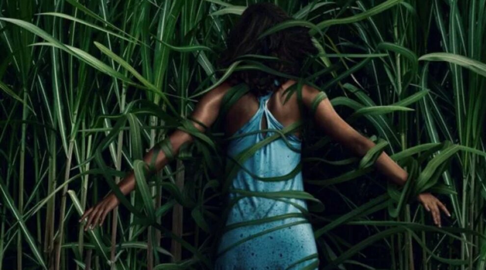 Кадр из фильма