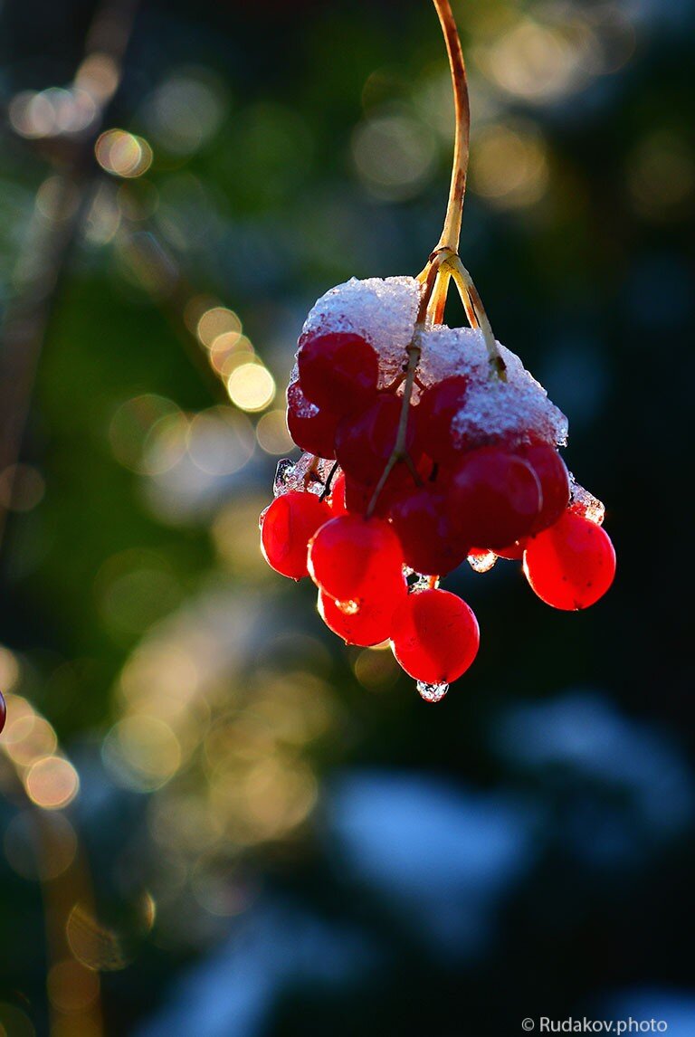 Многие задавались этим вопросом