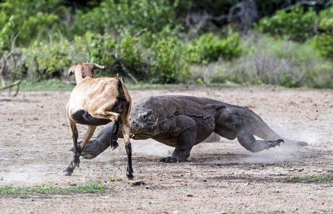 Потрясающая мощь!