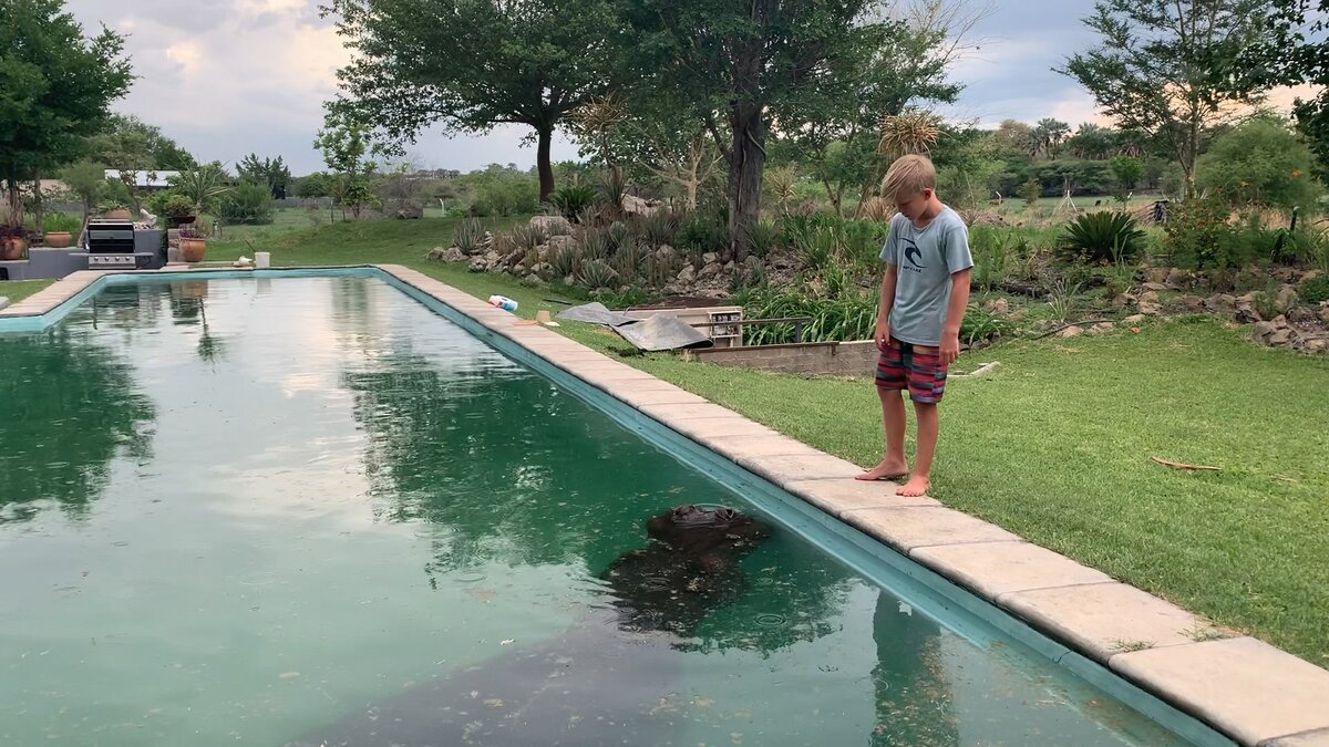 Сын хозяина рассматривает неожиданного гостя