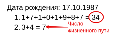 Пример подсчета числа жизненного пути
