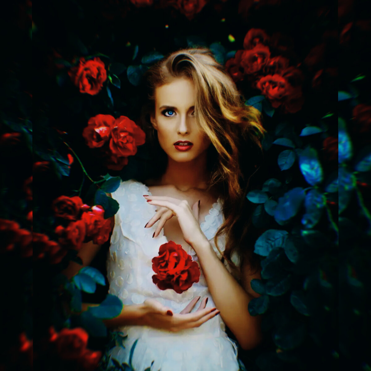 Яндекс-картинки 