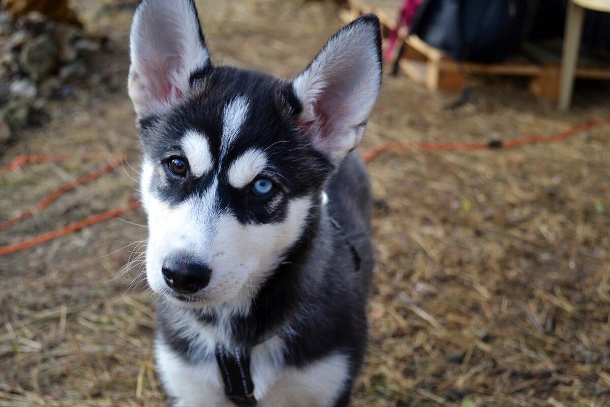 Пупсику 3 месяца