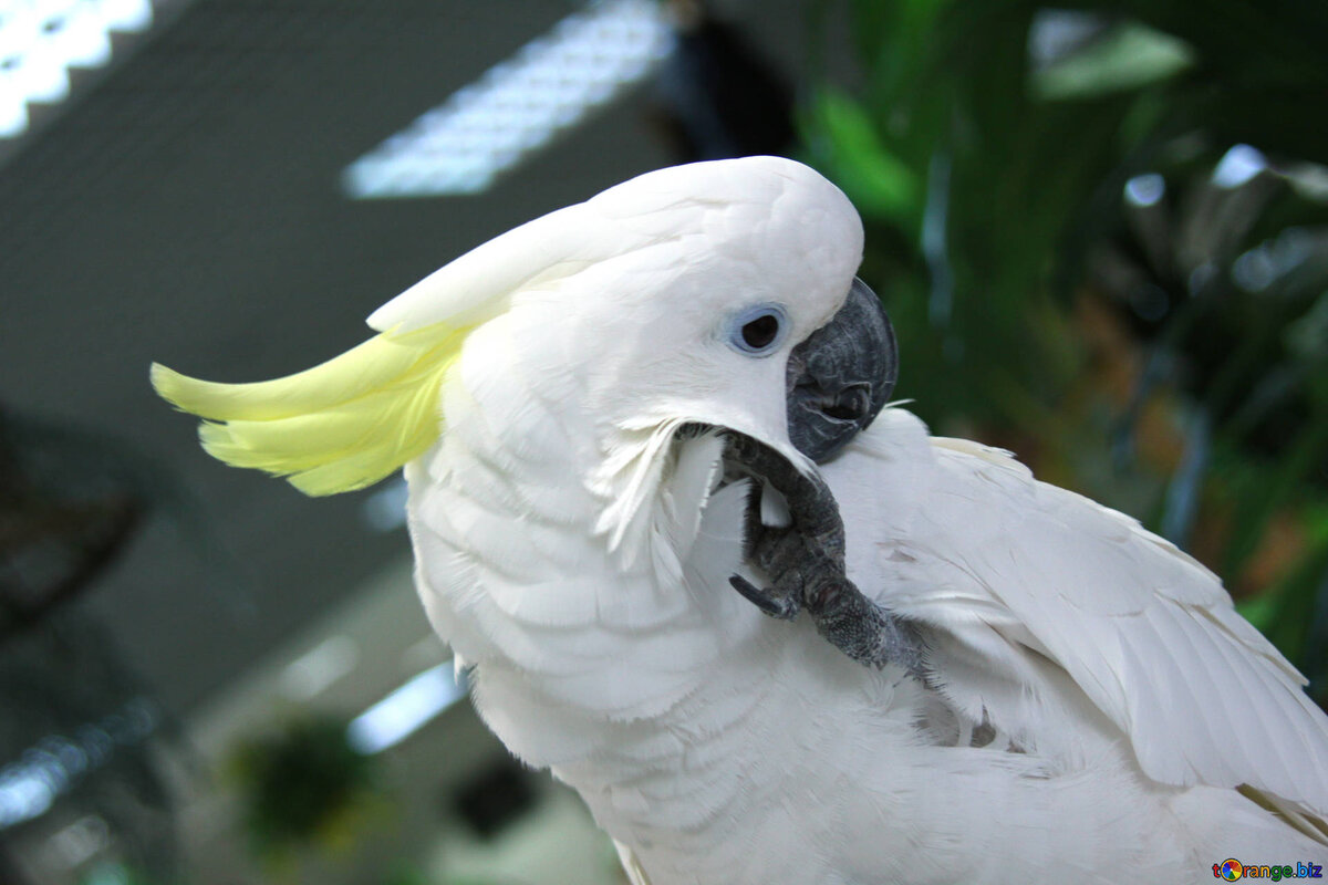 Картинка из сети интернет