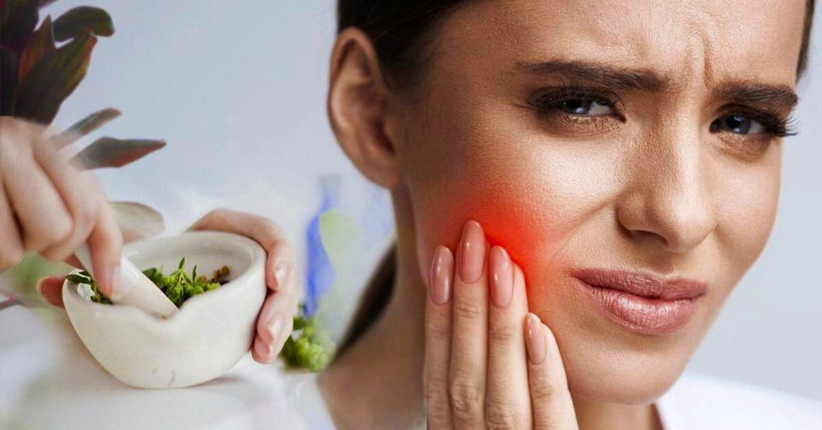 Травы которые снимают зубную боль 