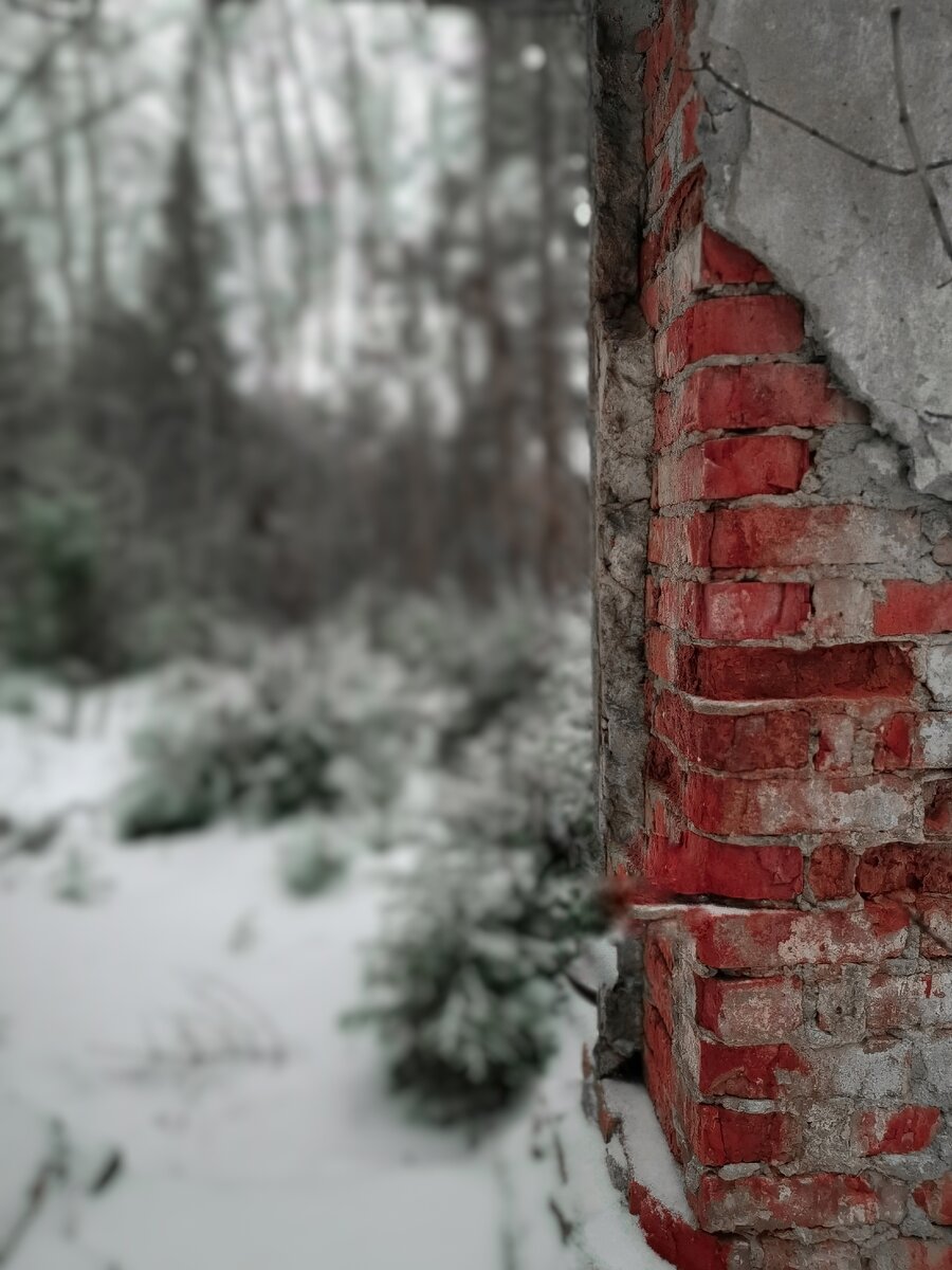 А вот то заброшенное здание.