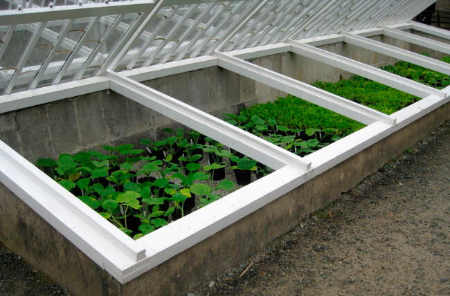 Парник для огурцов