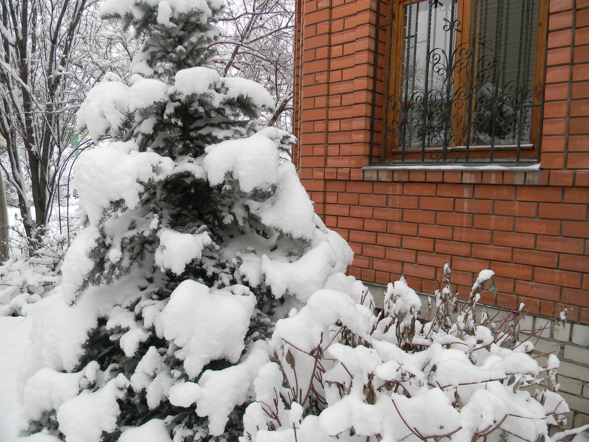 Фото автора