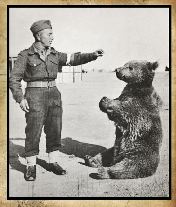 Польский солдат с Войтеком в 1942 году. Фото взято из интернета. 