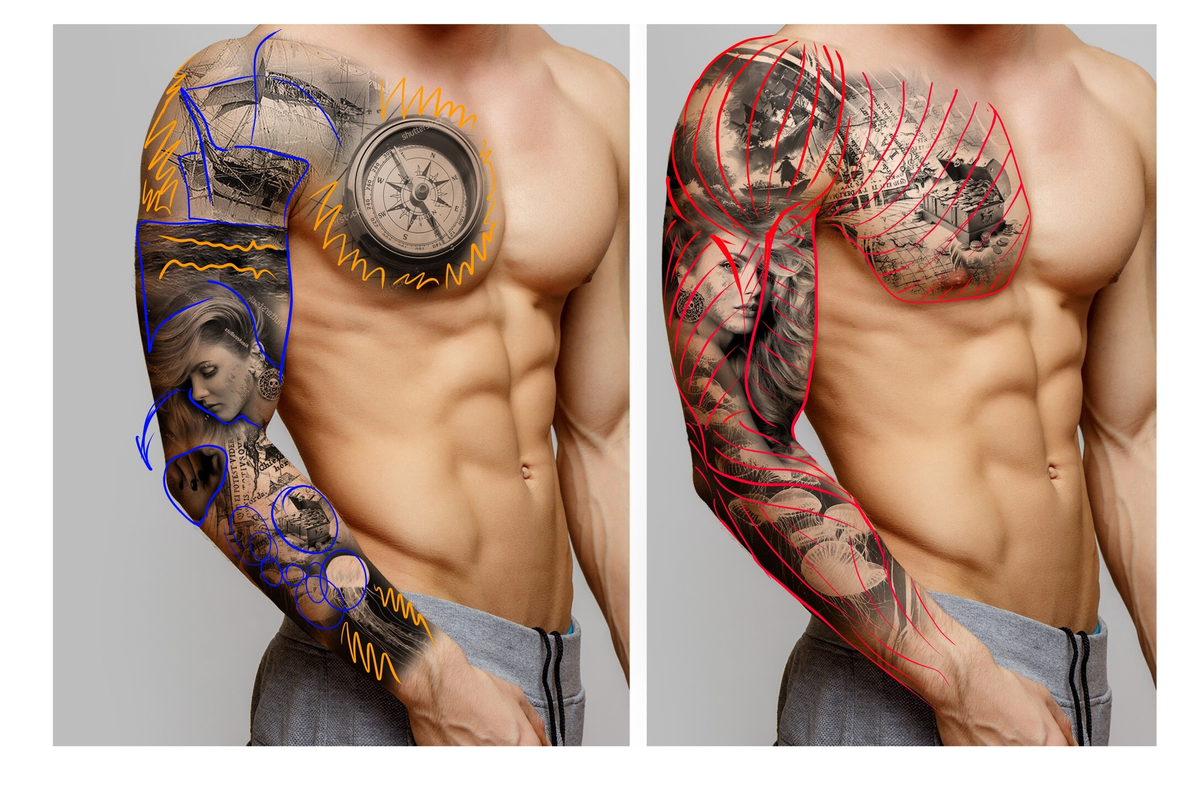 Красным обозначена приблизительная форма мышц