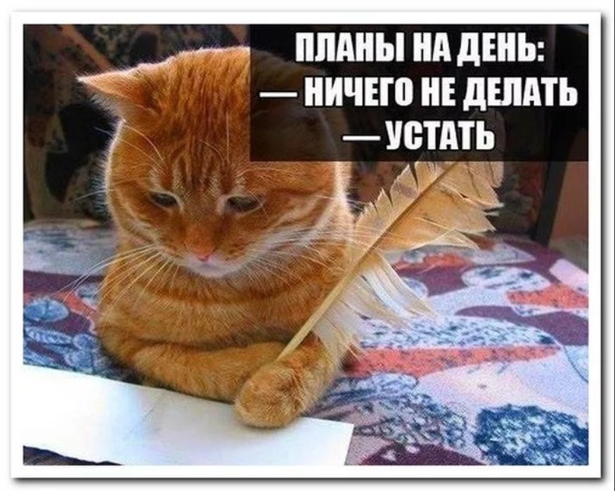 Фото из открытого источника