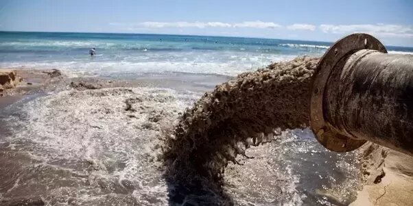 Источник Яндекс картинки