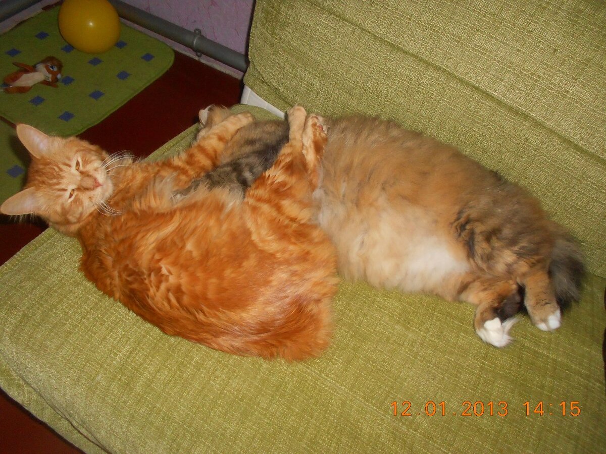 отлично лажу с Васей