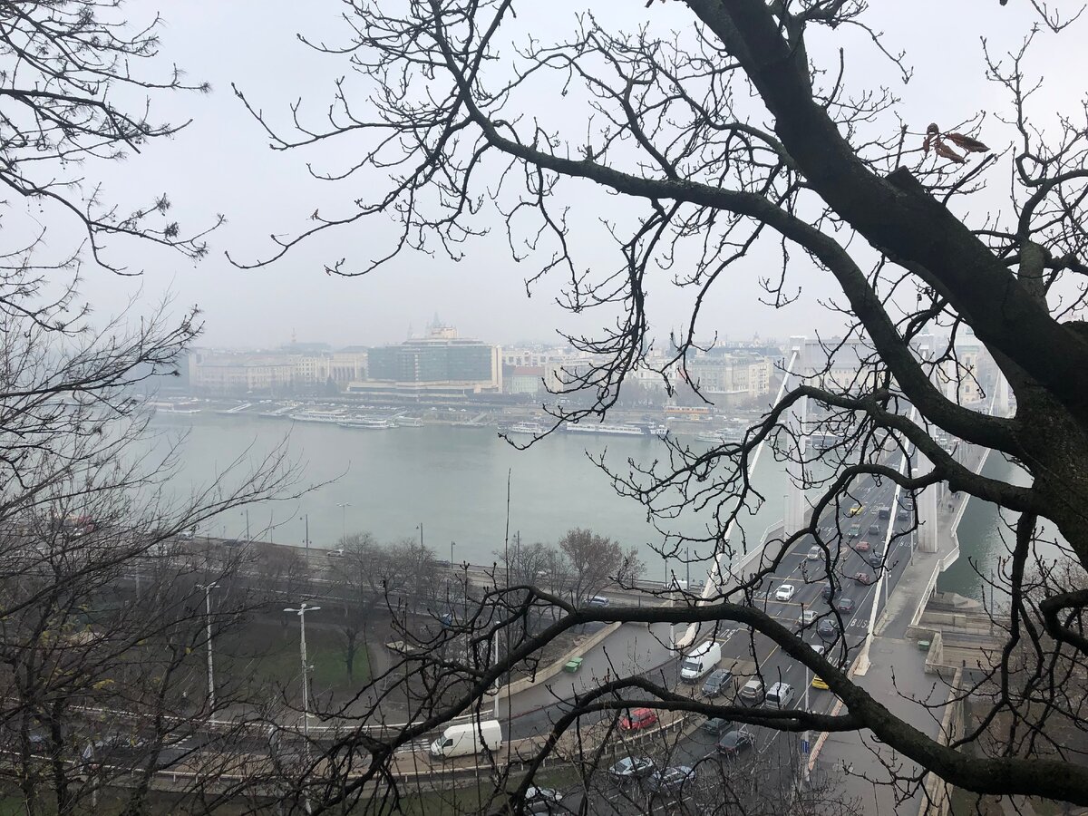 Вид с холма Геллерт на Дунай - туман немного рассеялся