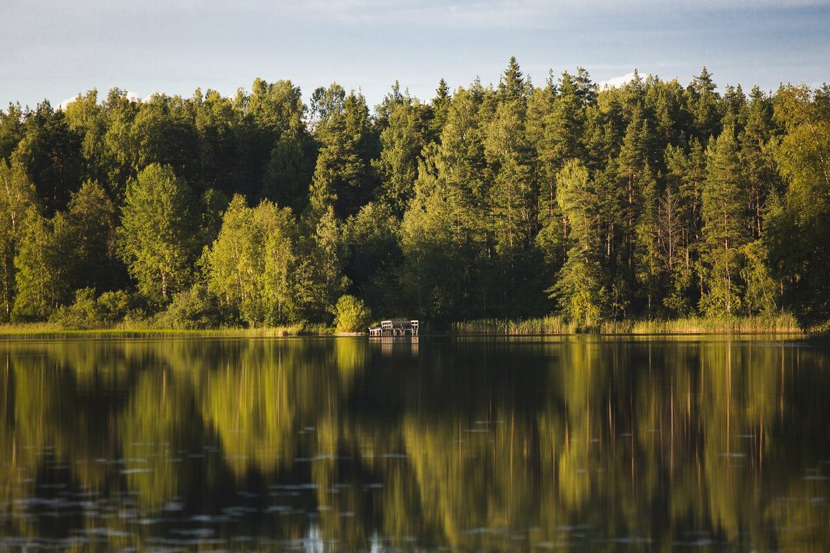 Лесное озеро