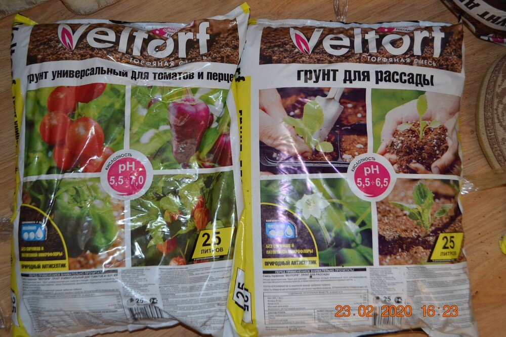 Фото из личного архива