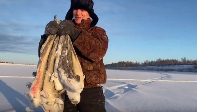 Как отлично ловить речную треску по-якутски - зимняя снасть на налима