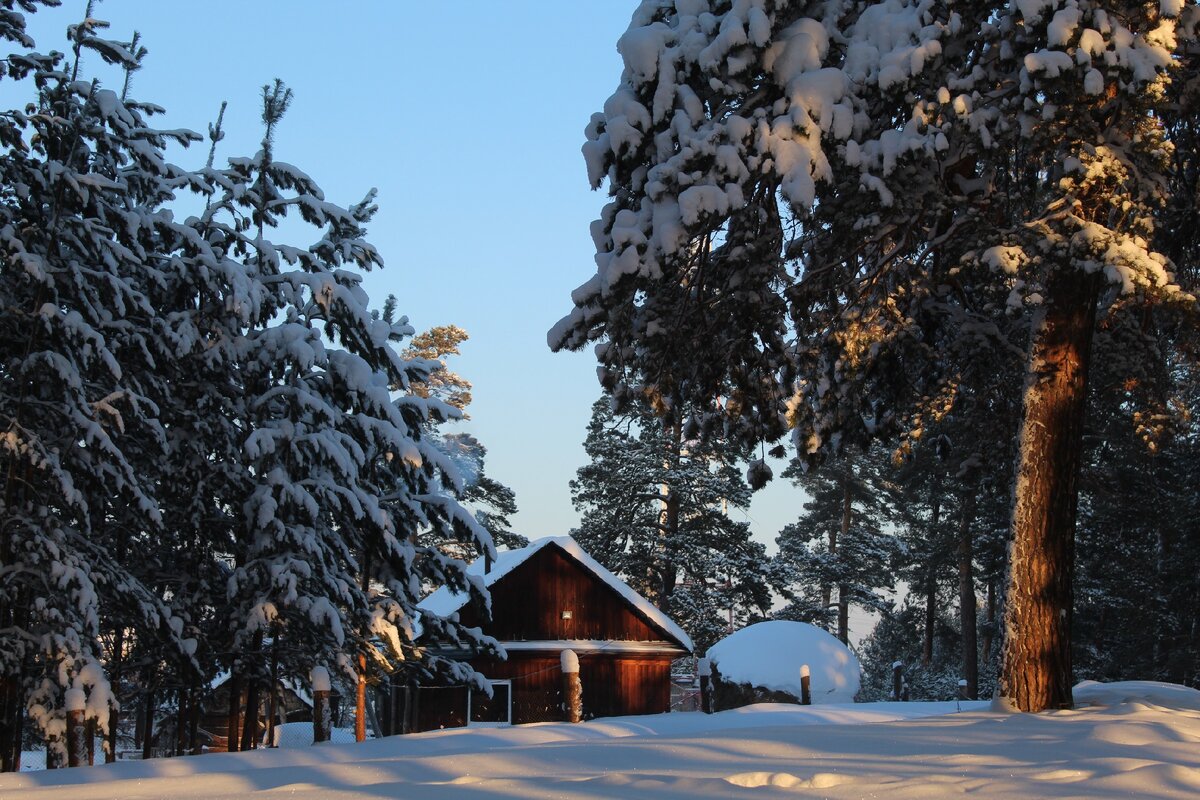 Наш дом  в деревне.