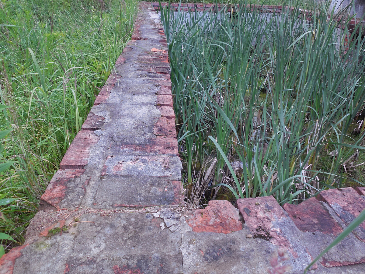 Мне кажется, что через несколько лет из-за давления грунта стена рухнет