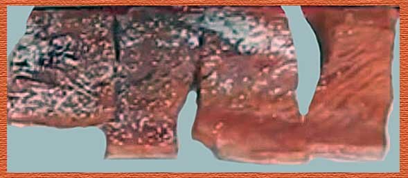 Вот такие должны быть кусочки