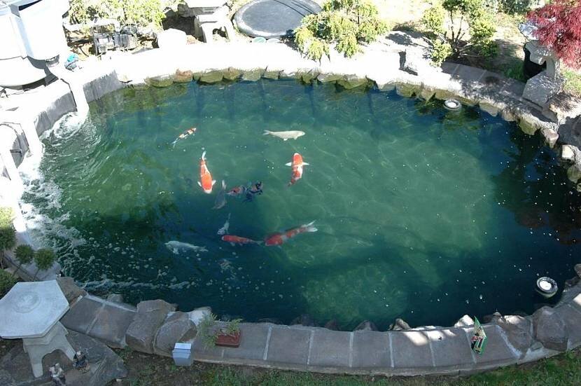 Фото из открытых источников