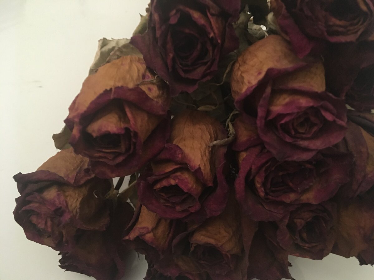 Фото с сайта научного журнала "Star Step": https://star-step.ru/