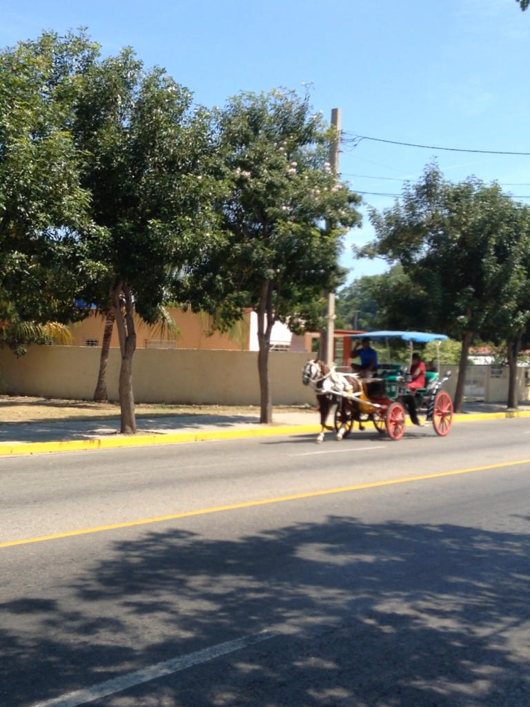 Конные повозки для туристов