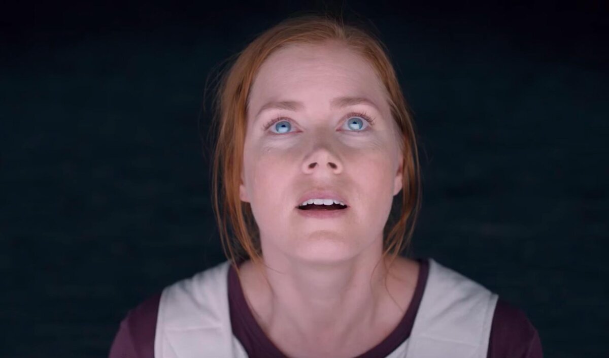 Кадр из фильма "Прибытие" (2016 г.), режиссер Дени Вильнёв.