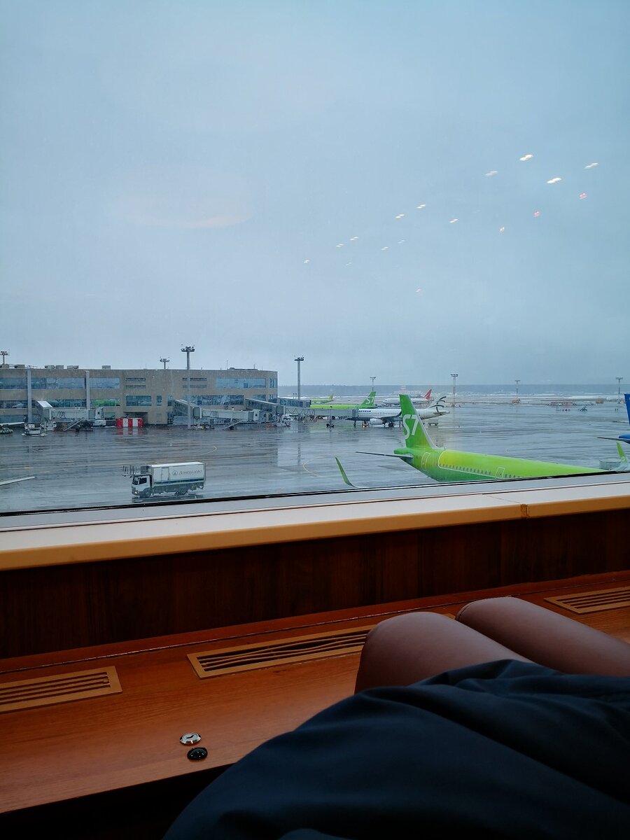 самолеты S7 выделяются среди остальных