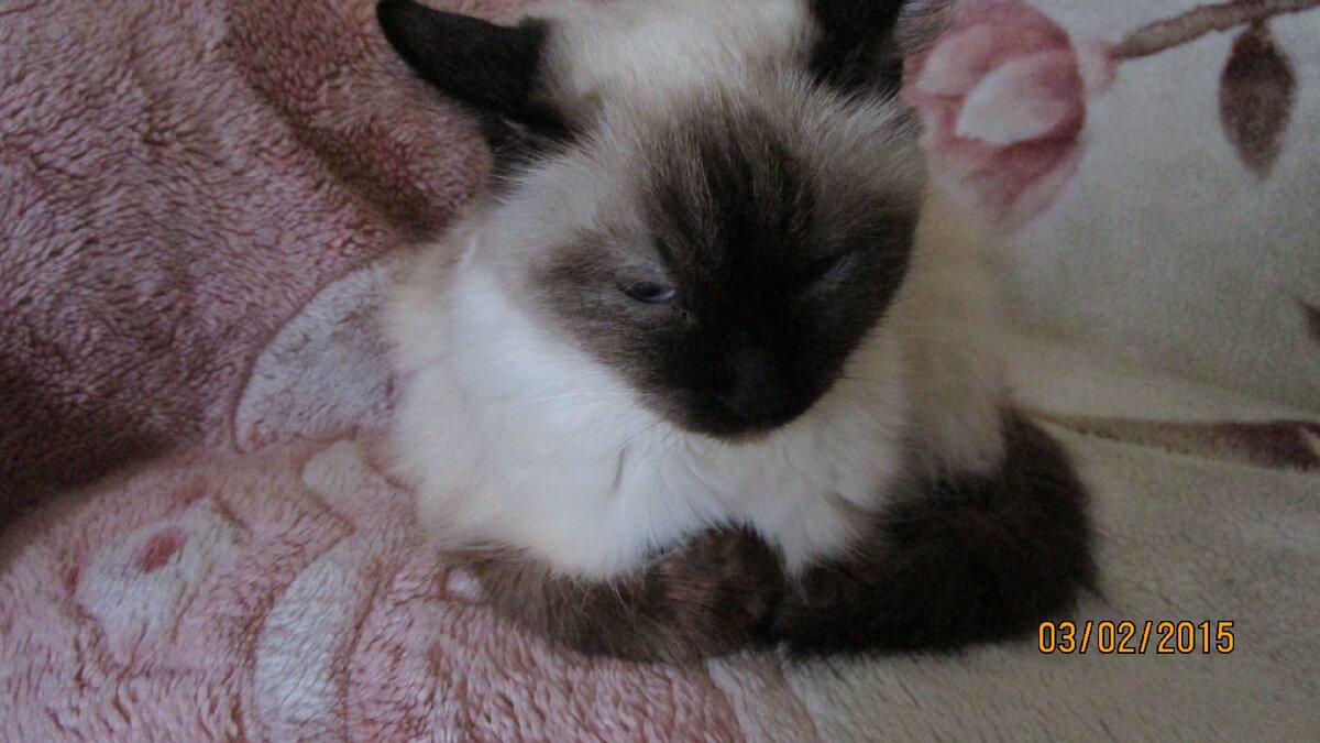 это моя Ирка