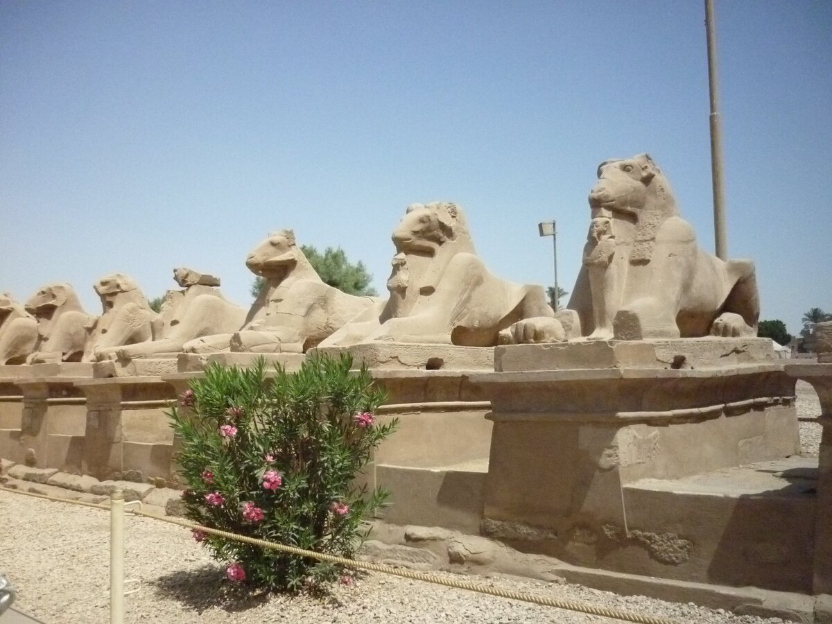 Я надеюсь,что самые насыщенные путешествия и самые интересные статьи еще впереди.