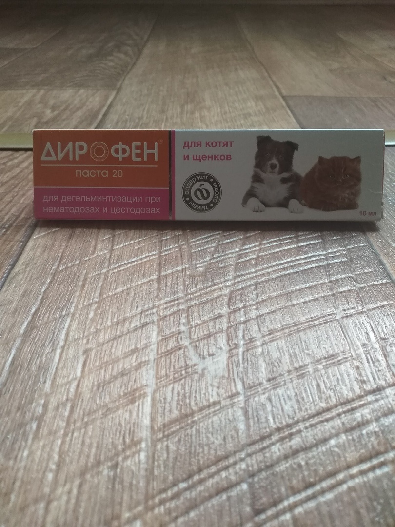 да-да. Для котят и щенят.