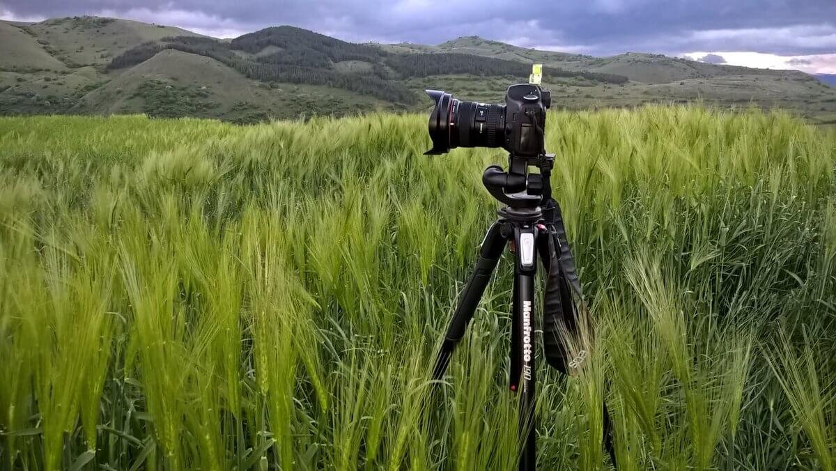 Источник: twitter.com/manfrotto_ca