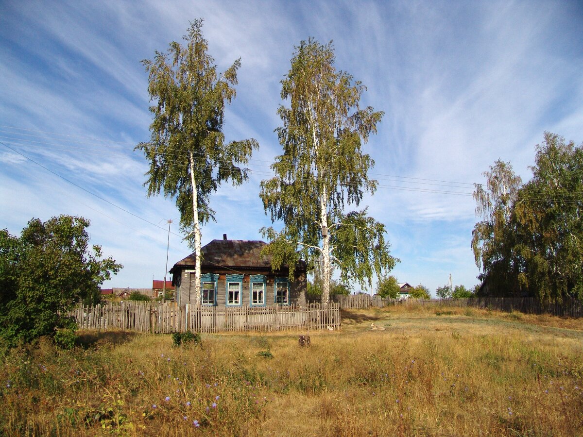 Какие деревья сажали в Старину около дома по Народным приметам. Их много еще в старых деревнях