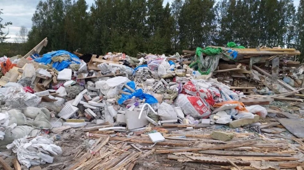 Свалка в Янино. Фото из твиттера "Дикий Петербург"