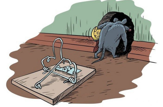 Рисунок заимствован из открытого источника Яндекс Картинки