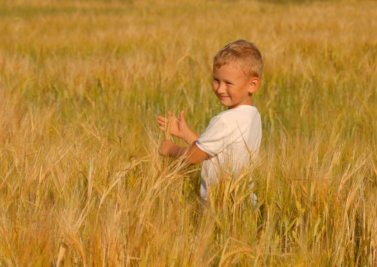 Что посеешь — то пожнёшь | Сказки и притчи Анны Зубковой | Дзен