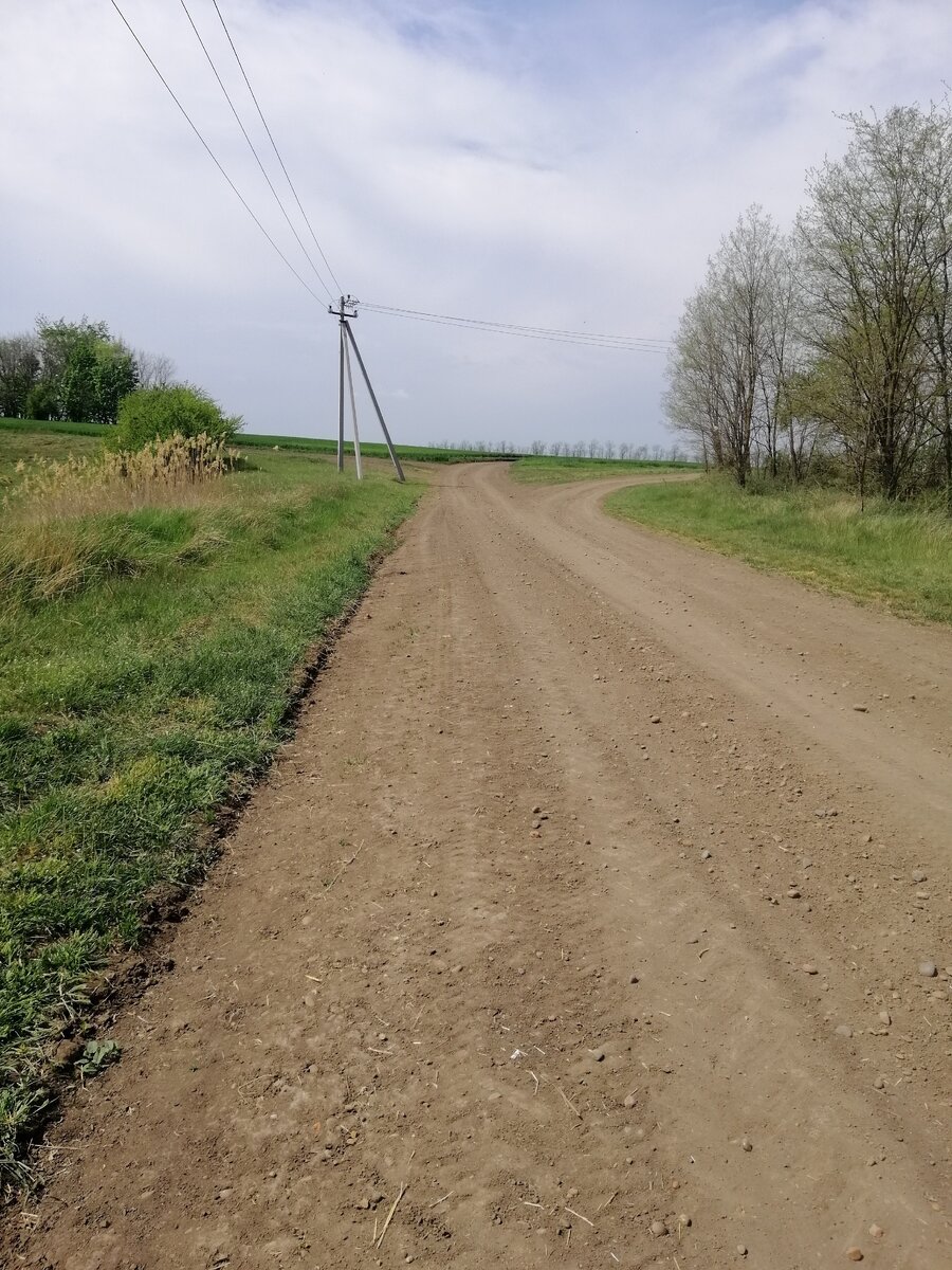 Дорога