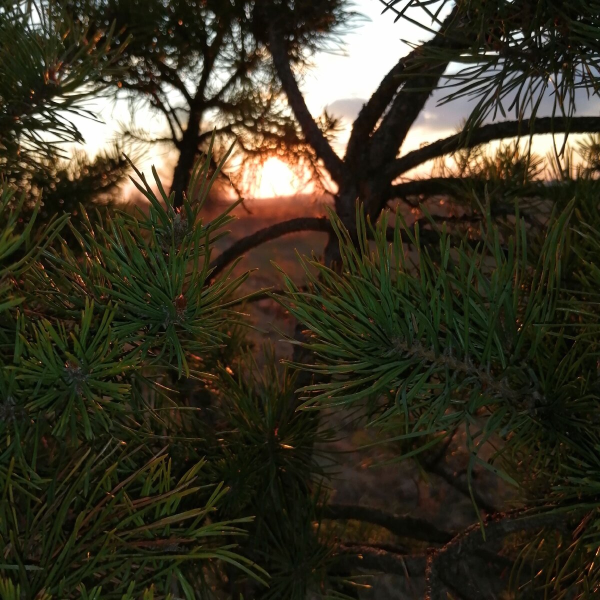 Красота природы