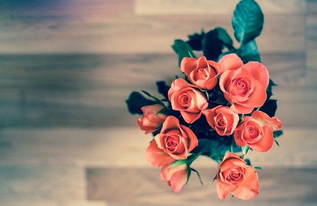 фотография с сайта pixabay.com