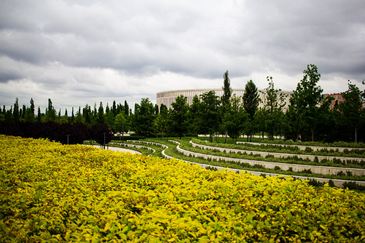 Зелень парка Краснодар